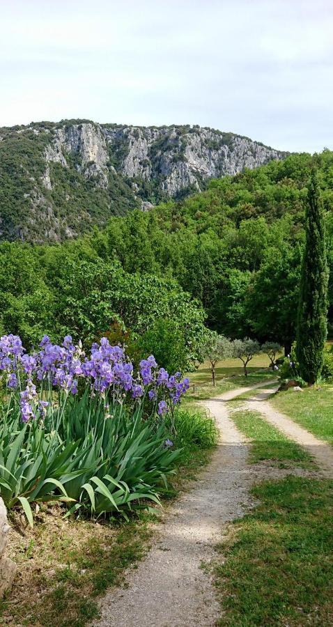 Gite En Cevennes Du Sud, Bergerie Restauree Au Rez De Jardin D'Une Bastide Avec Piscine, Vue Exceptionnelle, Authenticite Et Confort Saint-Laurent-le-Minier Dış mekan fotoğraf
